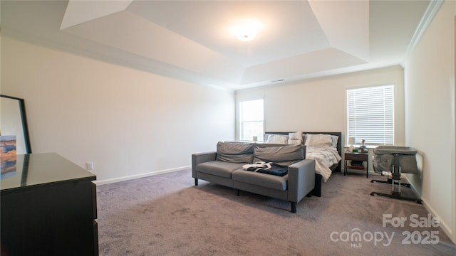 carpeted bedroom featuring a raised ceiling and crown molding