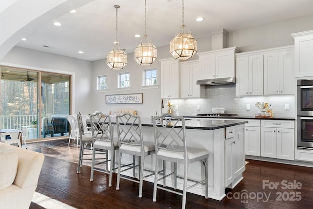 kitchen with stainless steel appliances, a kitchen island with sink, under cabinet range hood, and decorative backsplash