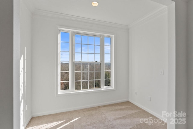 empty room featuring light carpet and ornamental molding