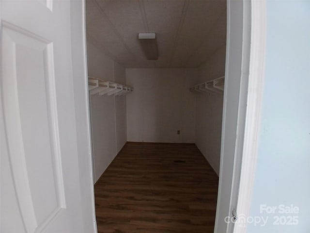 spacious closet with dark wood-type flooring