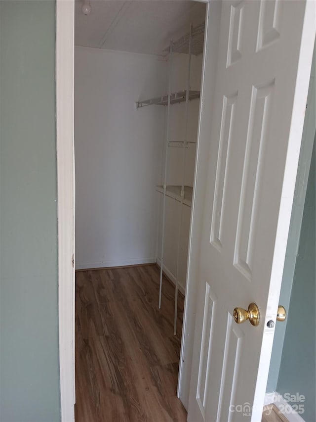 walk in closet featuring dark wood-type flooring