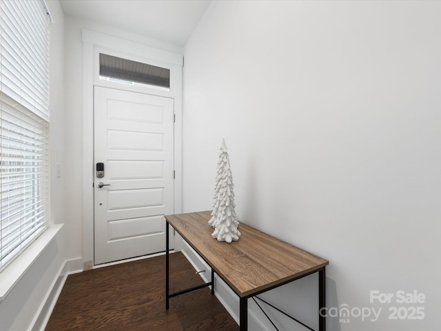 entryway with dark hardwood / wood-style floors