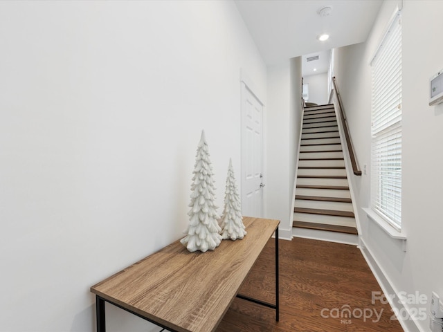 staircase with a wealth of natural light and wood-type flooring