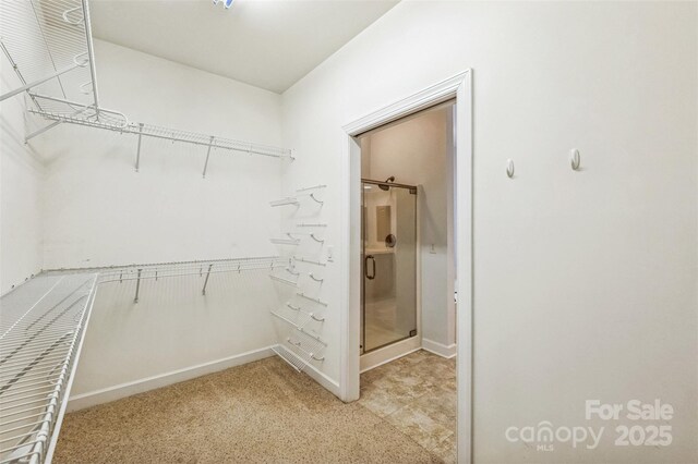 629 Cordova Ct, Salisbury, NC 28146 - walk in closet with light colored carpet