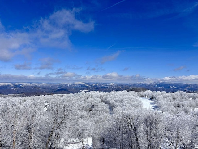 snowy aerial view featuring a mountain view