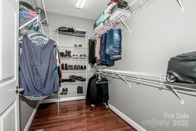 spacious closet with wood-type flooring