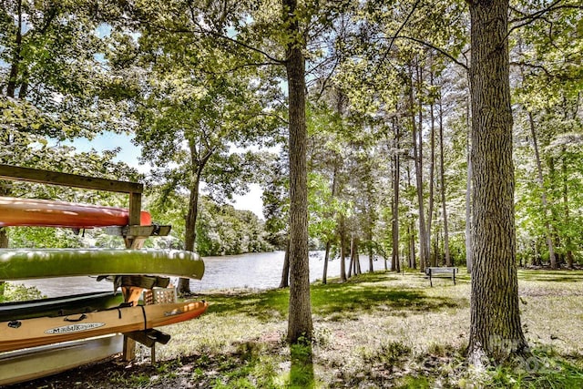 view of yard featuring a water view