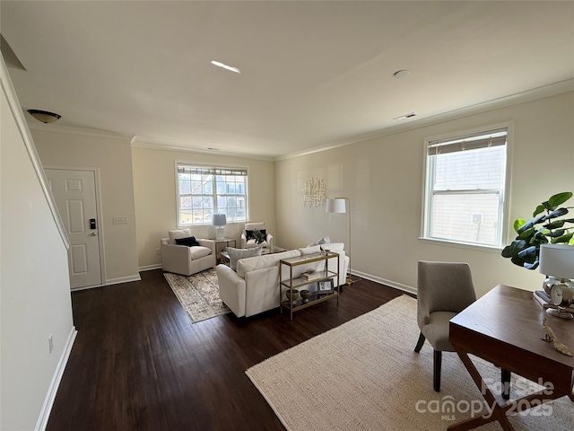 living room featuring crown molding and dark hardwood / wood-style flooring