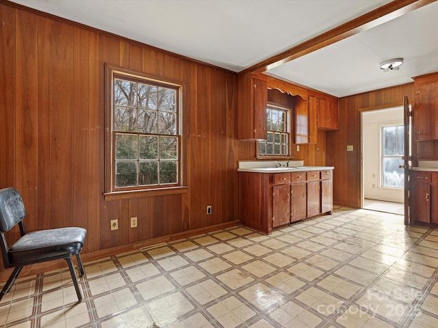 kitchen featuring wood walls and sink