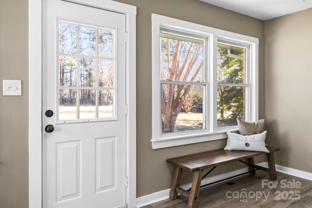 entryway with plenty of natural light and hardwood / wood-style flooring