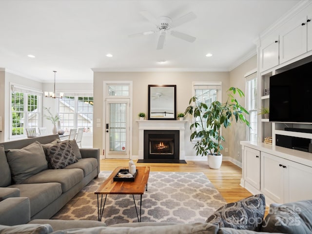 living room featuring ceiling fan with notable chandelier, light hardwood / wood-style flooring, and crown molding