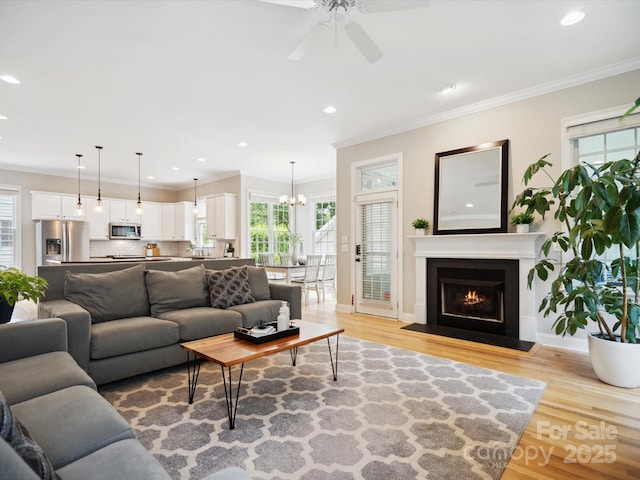 living room with ceiling fan with notable chandelier, ornamental molding, and light hardwood / wood-style flooring