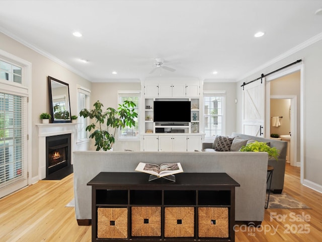 living room with ceiling fan, a barn door, light wood-type flooring, and ornamental molding