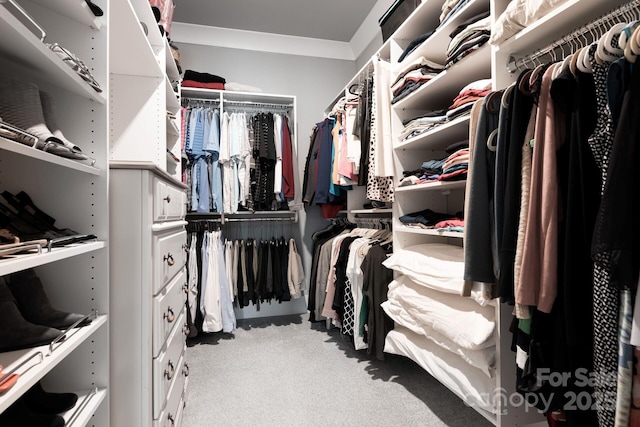 spacious closet with light carpet