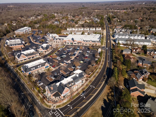 drone / aerial view