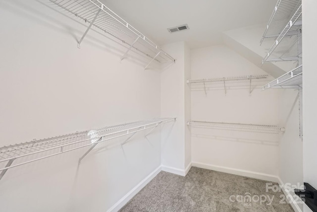 walk in closet featuring carpet floors