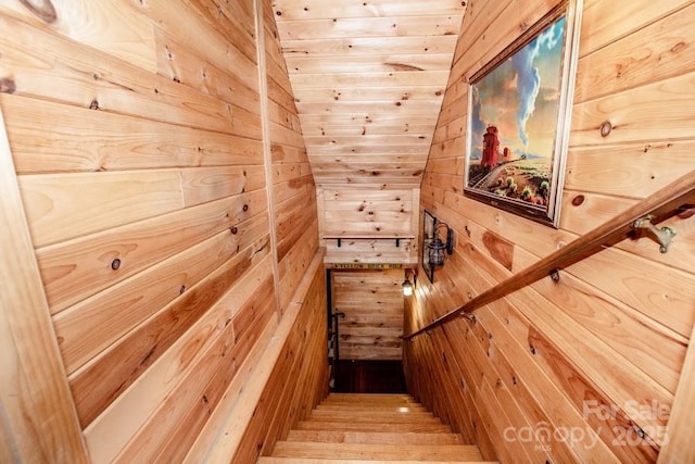 stairway with wooden walls