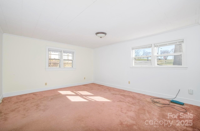 unfurnished room featuring crown molding, a wealth of natural light, and carpet