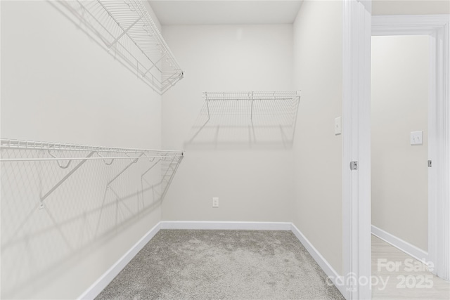 spacious closet with light carpet