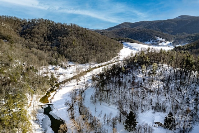 view of mountain feature