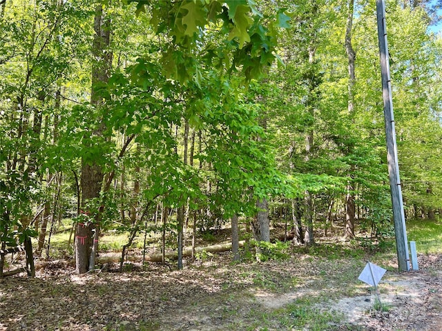 Listing photo 3 for 0 Monroe Hwy, Lancaster SC 29720