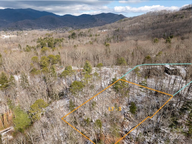 birds eye view of property featuring a mountain view