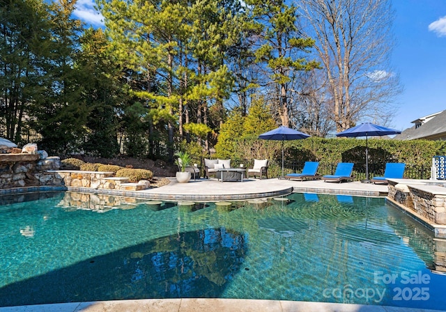 view of swimming pool with a patio area