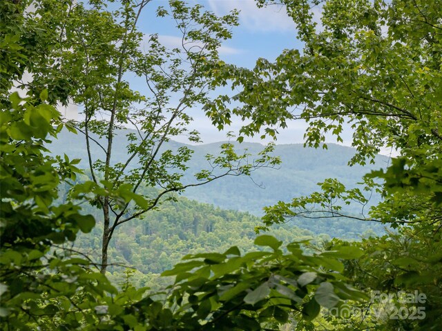 15 Breckenridge Dr, Fairview, NC 28730 - water view with a forest and a mountain backdrop
