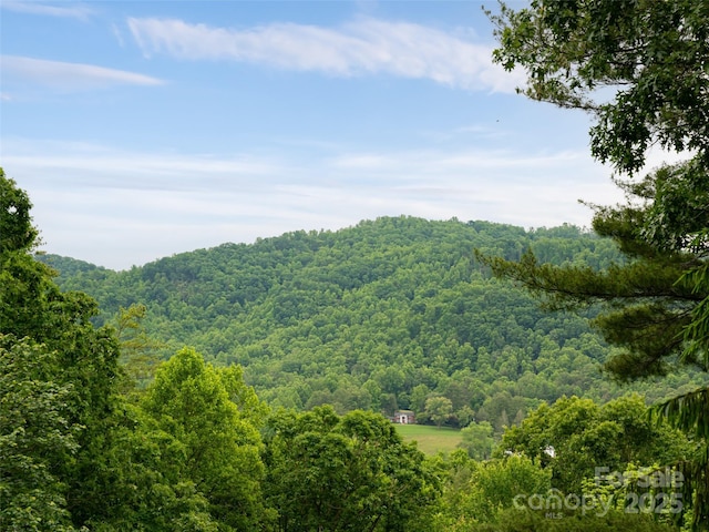 15 Breckenridge Dr, Fairview, NC 28730 - mountain view with a heavily wooded area