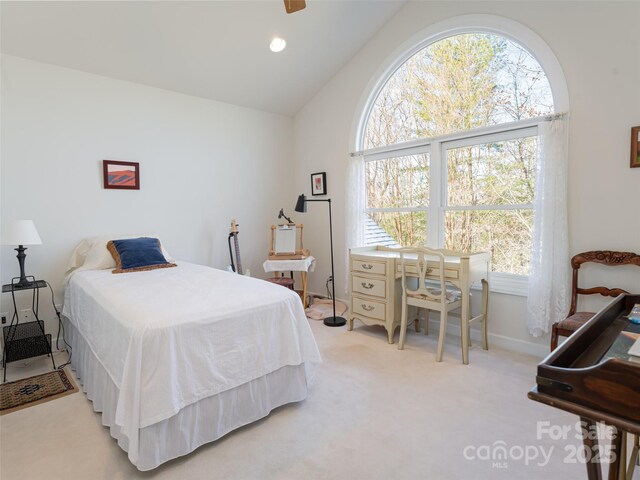 15 Breckenridge Dr, Fairview, NC 28730 - bedroom featuring multiple windows, light carpet, vaulted ceiling, and baseboards