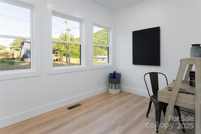 office with light hardwood / wood-style floors