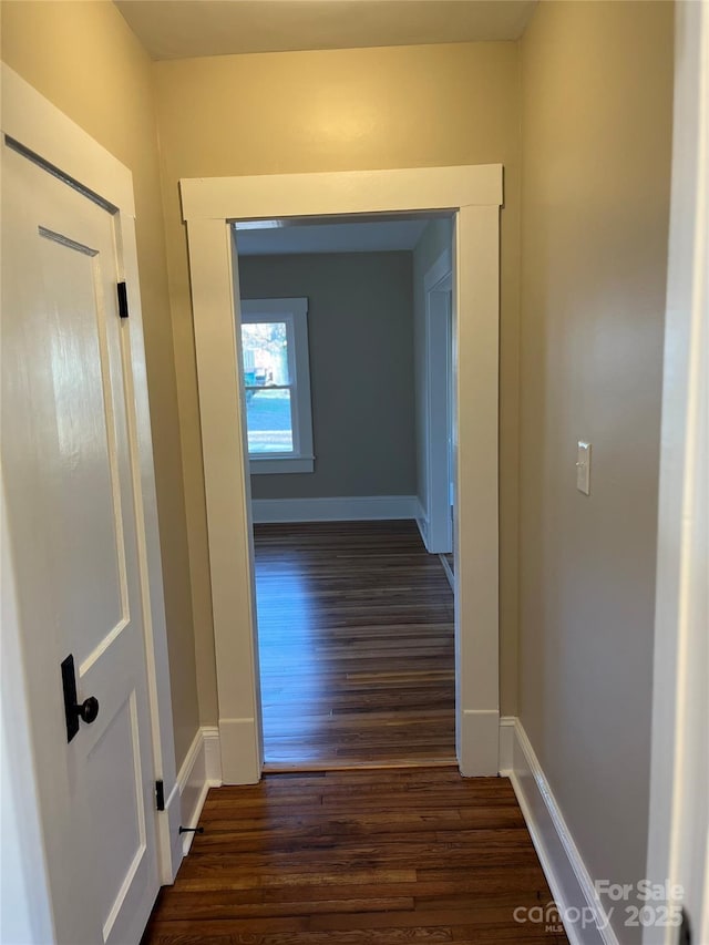 hall featuring dark hardwood / wood-style floors