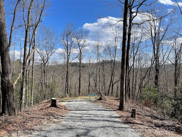 LOT66 Sandy Ln, Brevard NC, 28712 land for sale