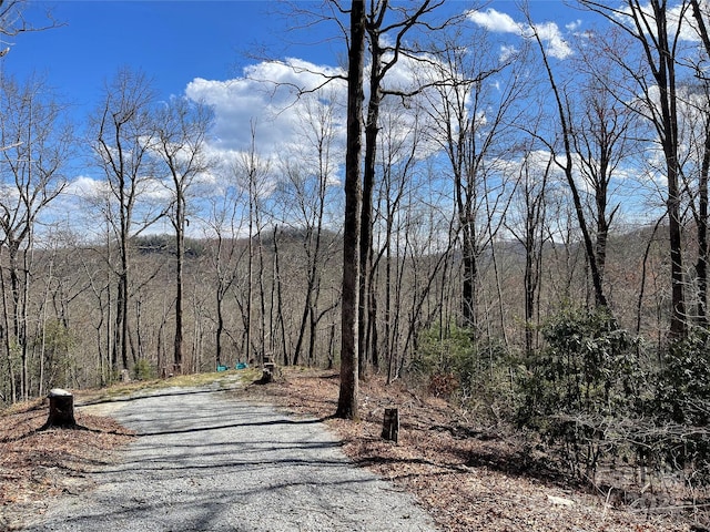 Listing photo 2 for LOT66 Sandy Ln, Brevard NC 28712