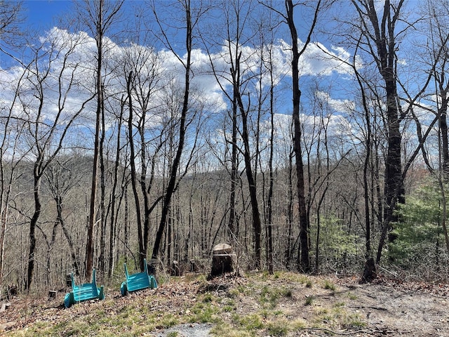 Listing photo 3 for LOT66 Sandy Ln, Brevard NC 28712