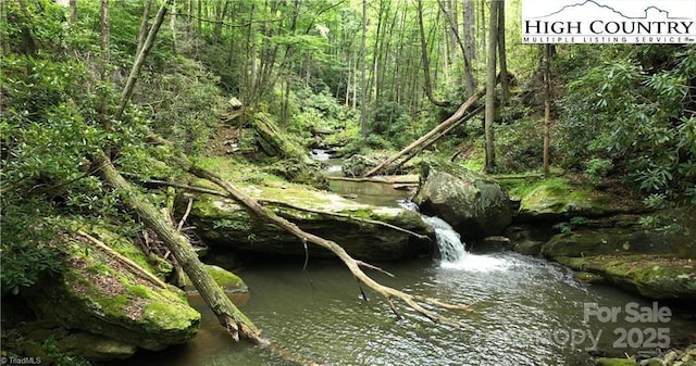 view of local wilderness with a forest view