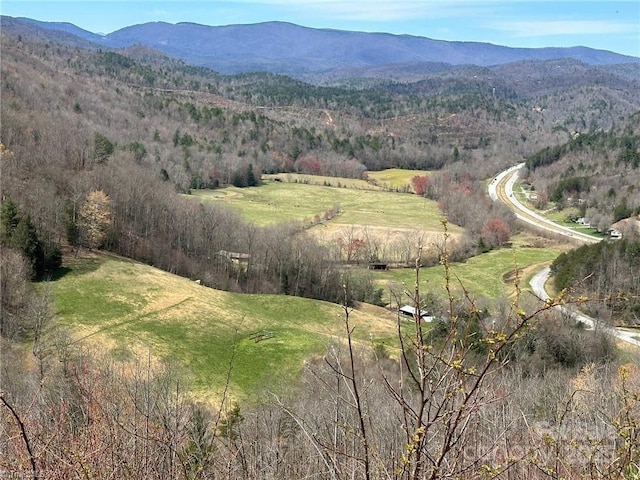 birds eye view of property with a mountain view and a rural view