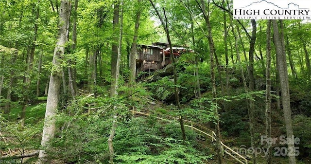 view of local wilderness featuring a wooded view