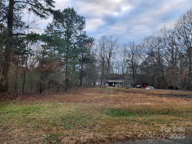 453 Lancaster Estates Rd, Indian Land, SC 29707 - view of yard