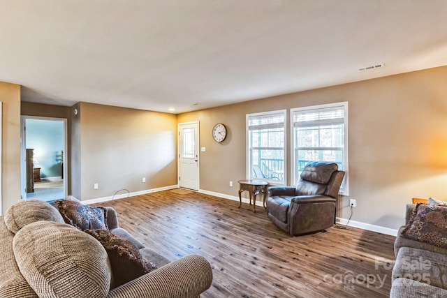 living room featuring wood-type flooring