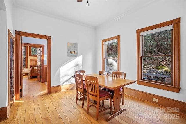 dining area featuring light hardwood / wood-style floors, ceiling fan, and ornamental molding