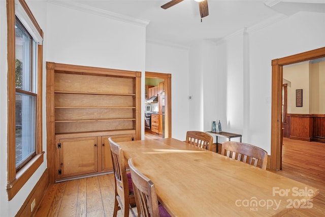 dining room featuring ceiling fan, light wood-type flooring, and crown molding