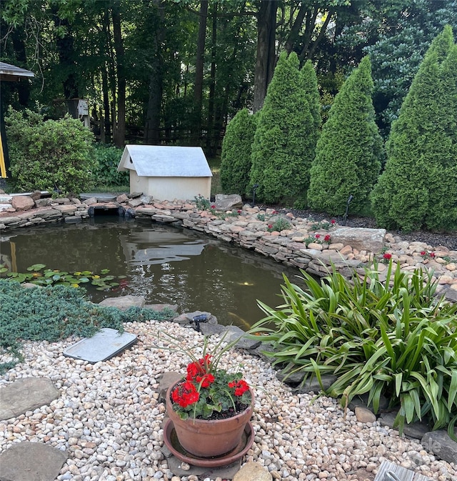 view of yard with a small pond