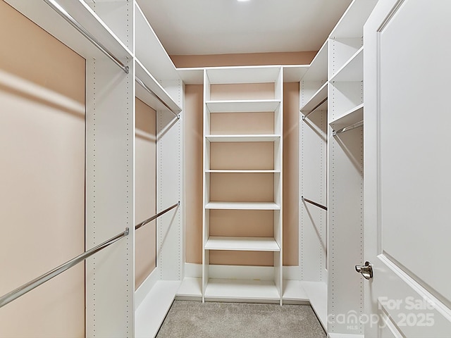 walk in closet with light colored carpet