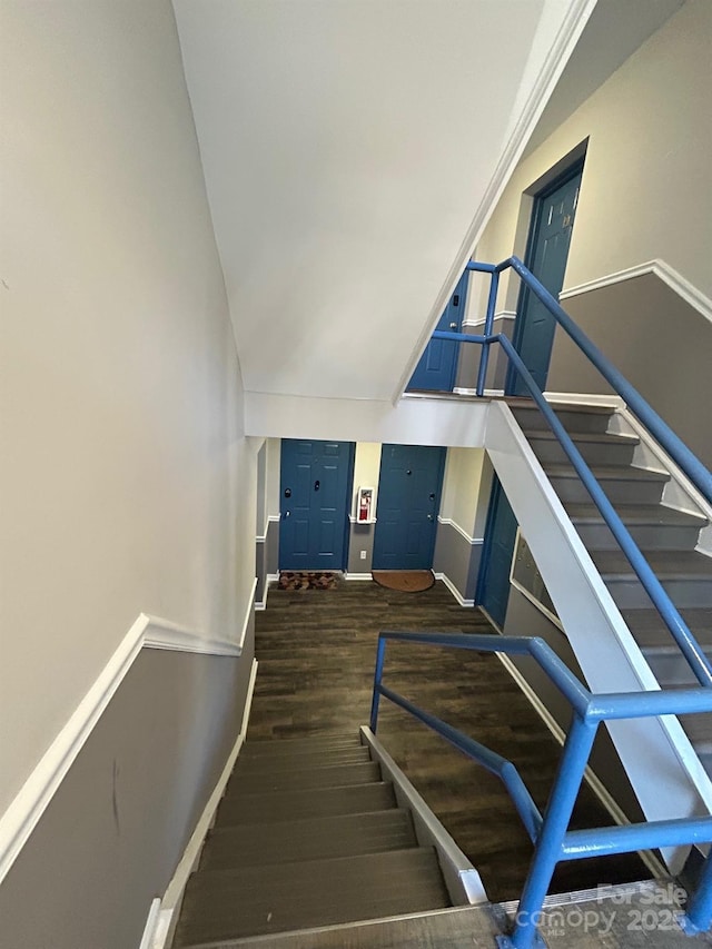 stairway with wood-type flooring