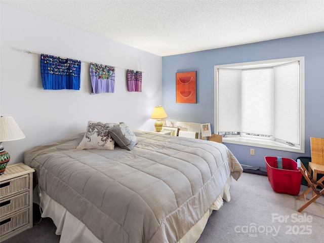 bedroom featuring carpet floors and a textured ceiling