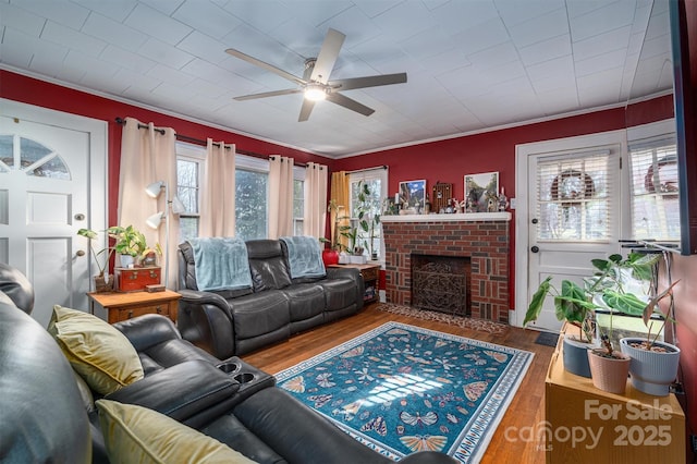 living room featuring a fireplace, a wealth of natural light, hardwood / wood-style flooring, and ornamental molding