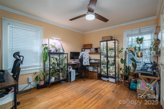 office with crown molding, ceiling fan, and light hardwood / wood-style flooring