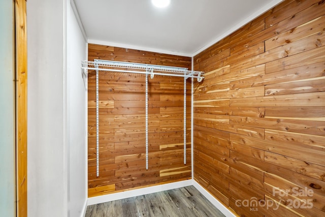 spacious closet featuring wood-type flooring