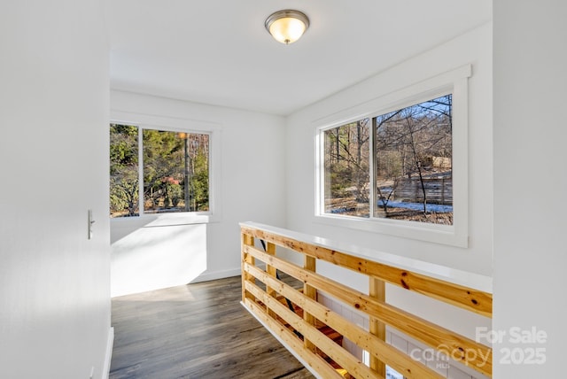 hall featuring a wealth of natural light and dark hardwood / wood-style floors